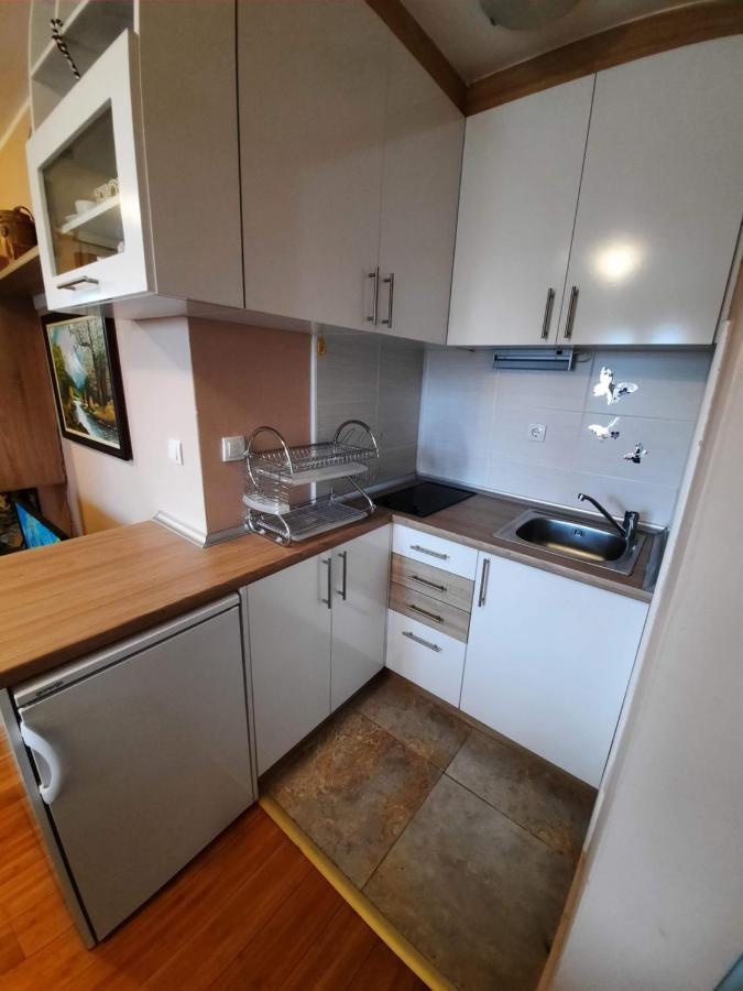 Fit Apartman Zlatibor Extérieur photo