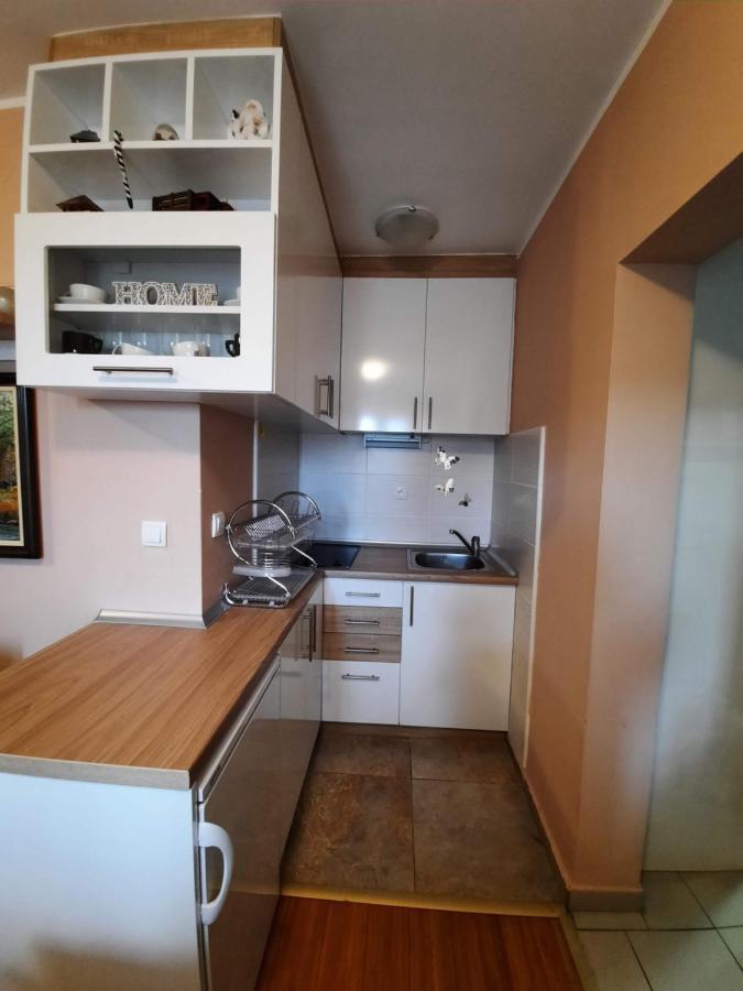 Fit Apartman Zlatibor Extérieur photo