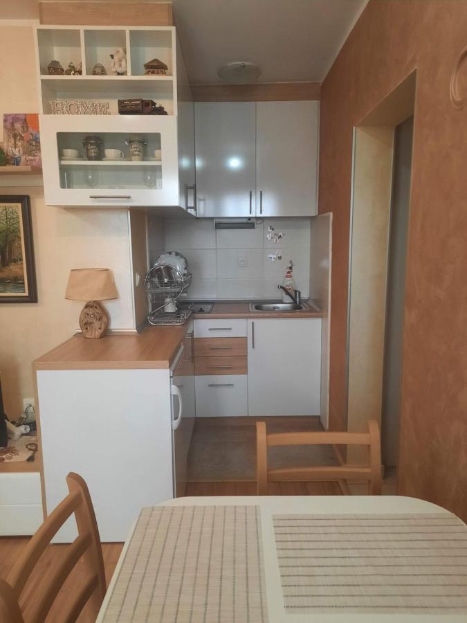 Fit Apartman Zlatibor Extérieur photo