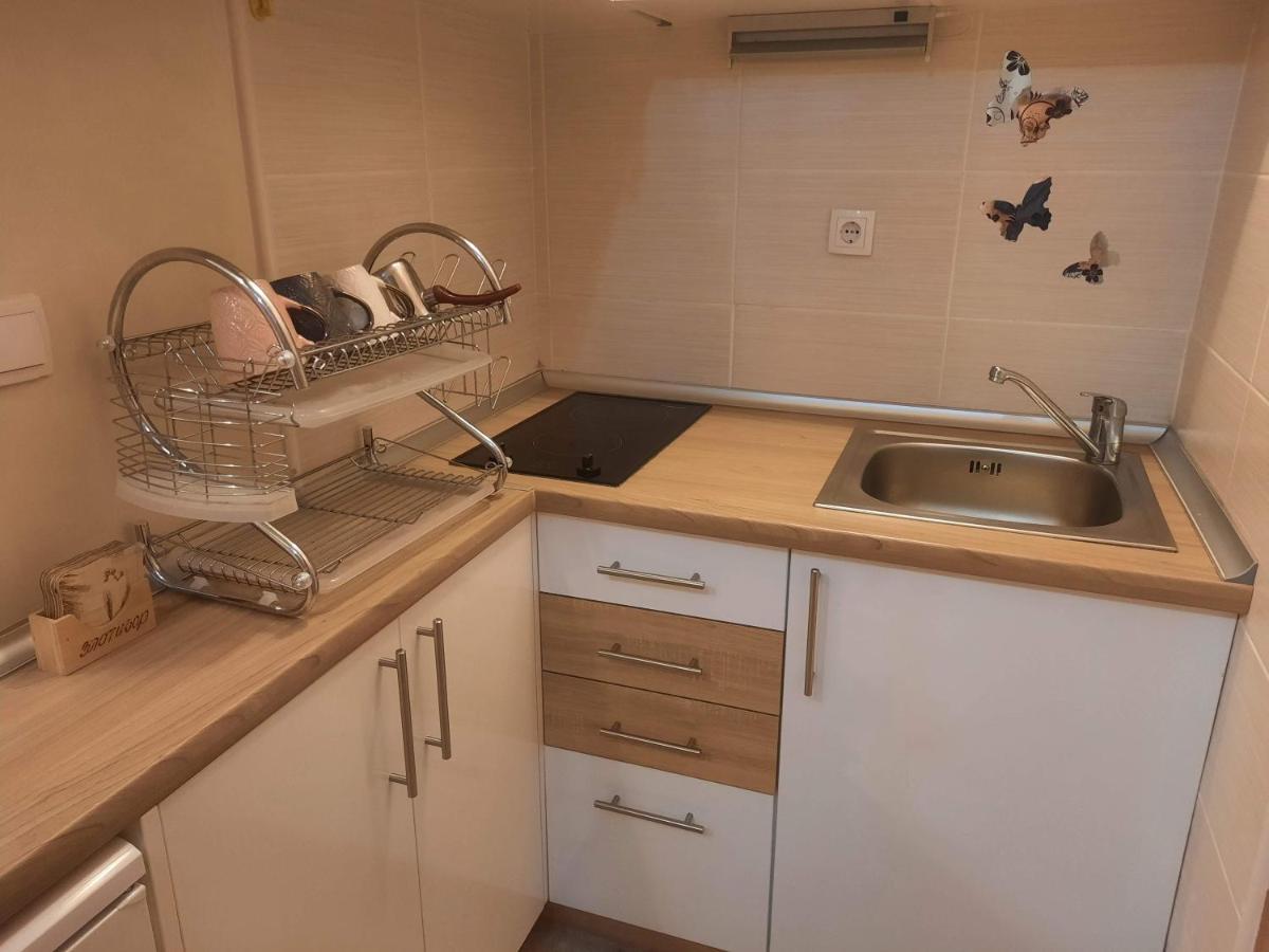 Fit Apartman Zlatibor Extérieur photo
